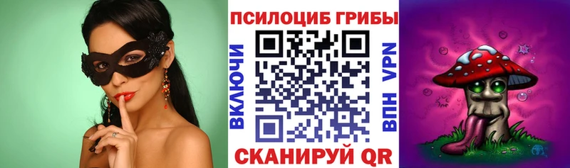 где можно купить наркотик  Нариманов  Псилоцибиновые грибы MAGIC MUSHROOMS 